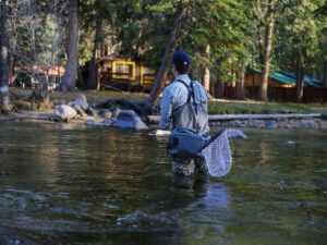 Man fly fishing in the river