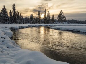 Picture of a winter river