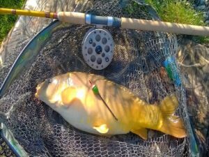 Centrepin Fishing Reels