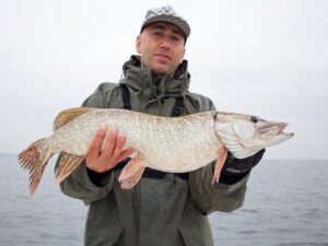 Picture of a pike