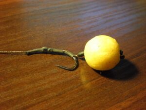 Boilie on a hair rig